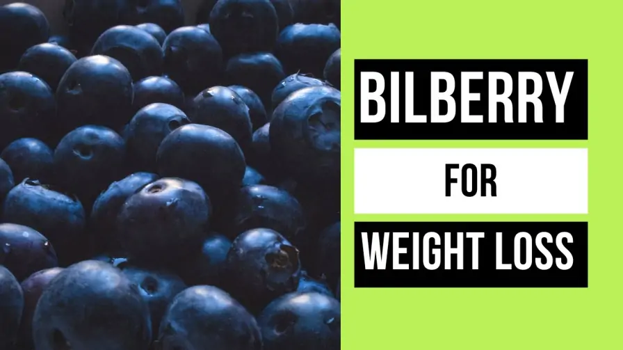 Benefits Of Bilberry For Weight Loss